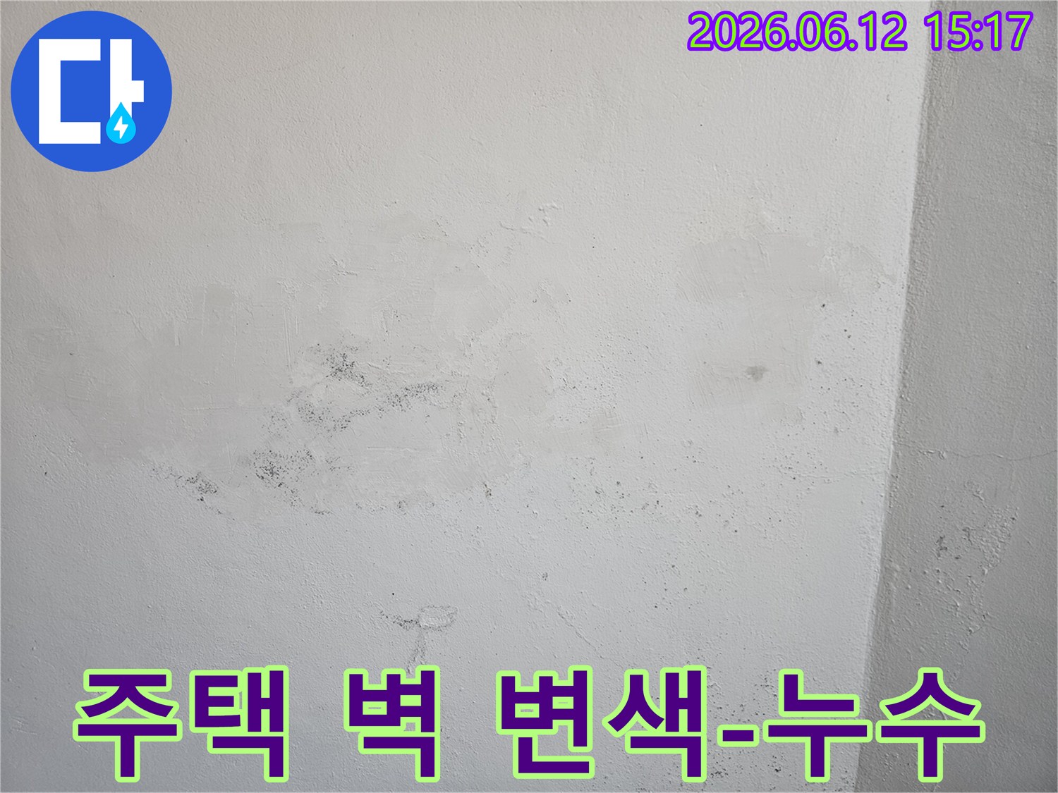 주택 벽면에 발생한 광범위한 물 얼룩과-곰팡이 흔적을 보여주며-누수 문제의 심각성을 나타냅니다