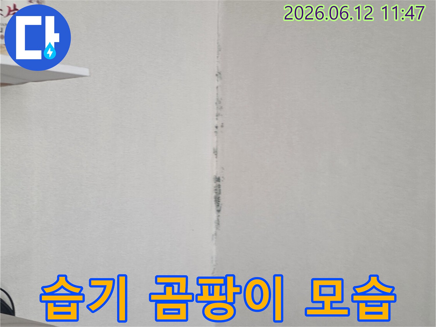 천장과 벽 사이의 이음새를 따라 검은 곰팡이가 형성되어-지속적인 습기 문제를 시사합니다.