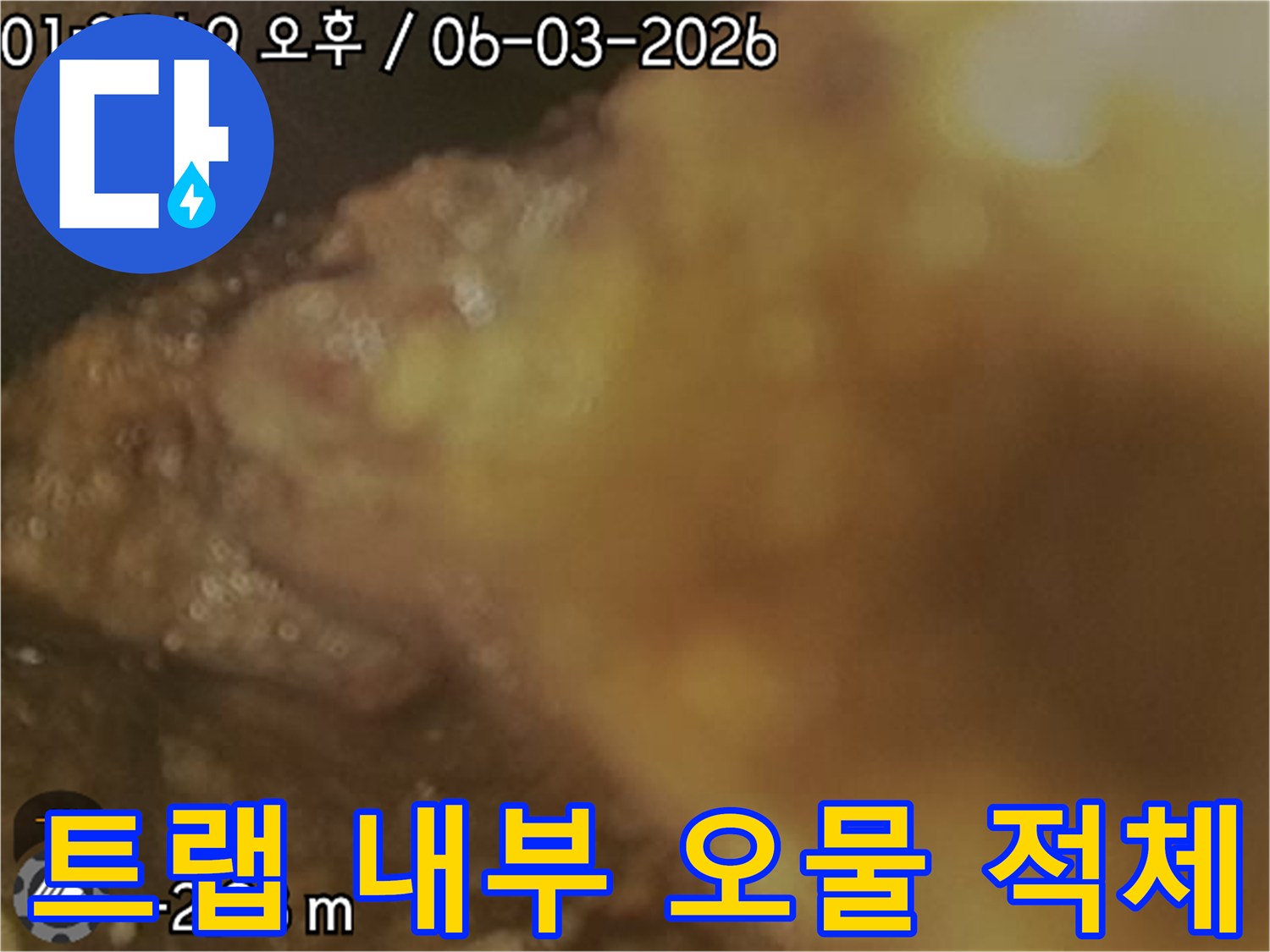 배관-소재구-트랩-내부의-오염된-슬러지-모습