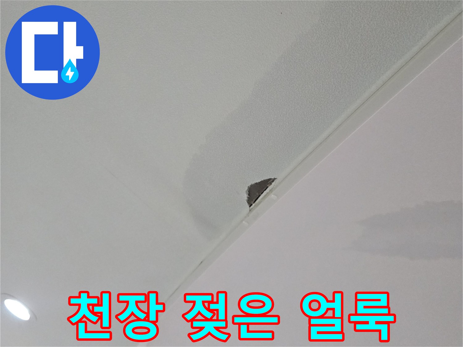 강동구-거실-천장-물자국-및-젖음-상태-사진