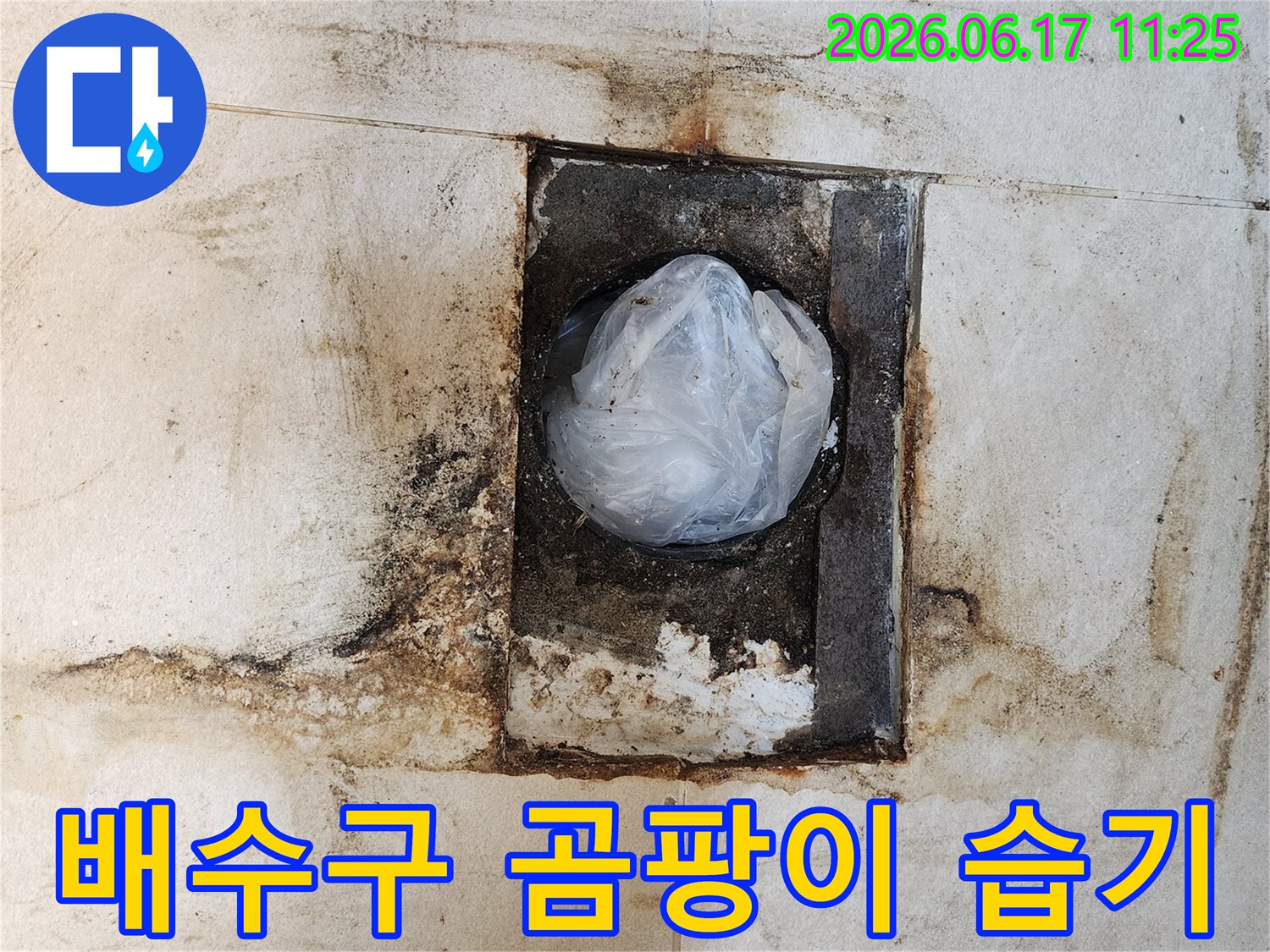 배수구-주변-타일-틈새에-발생한-검은색-곰팡이와-지속적인-습기로-인한-오염-현상