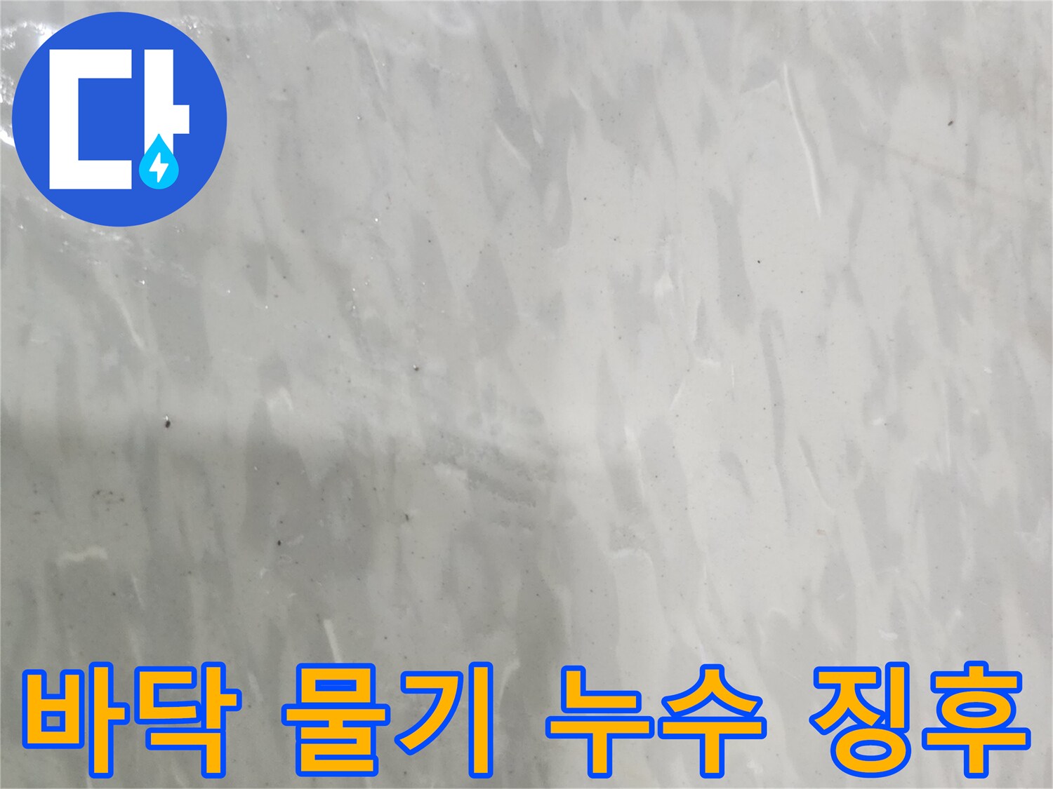 누수 현장-물에 젖은 바닥-누수 의심-신속한 조치 필요-전문가 진단