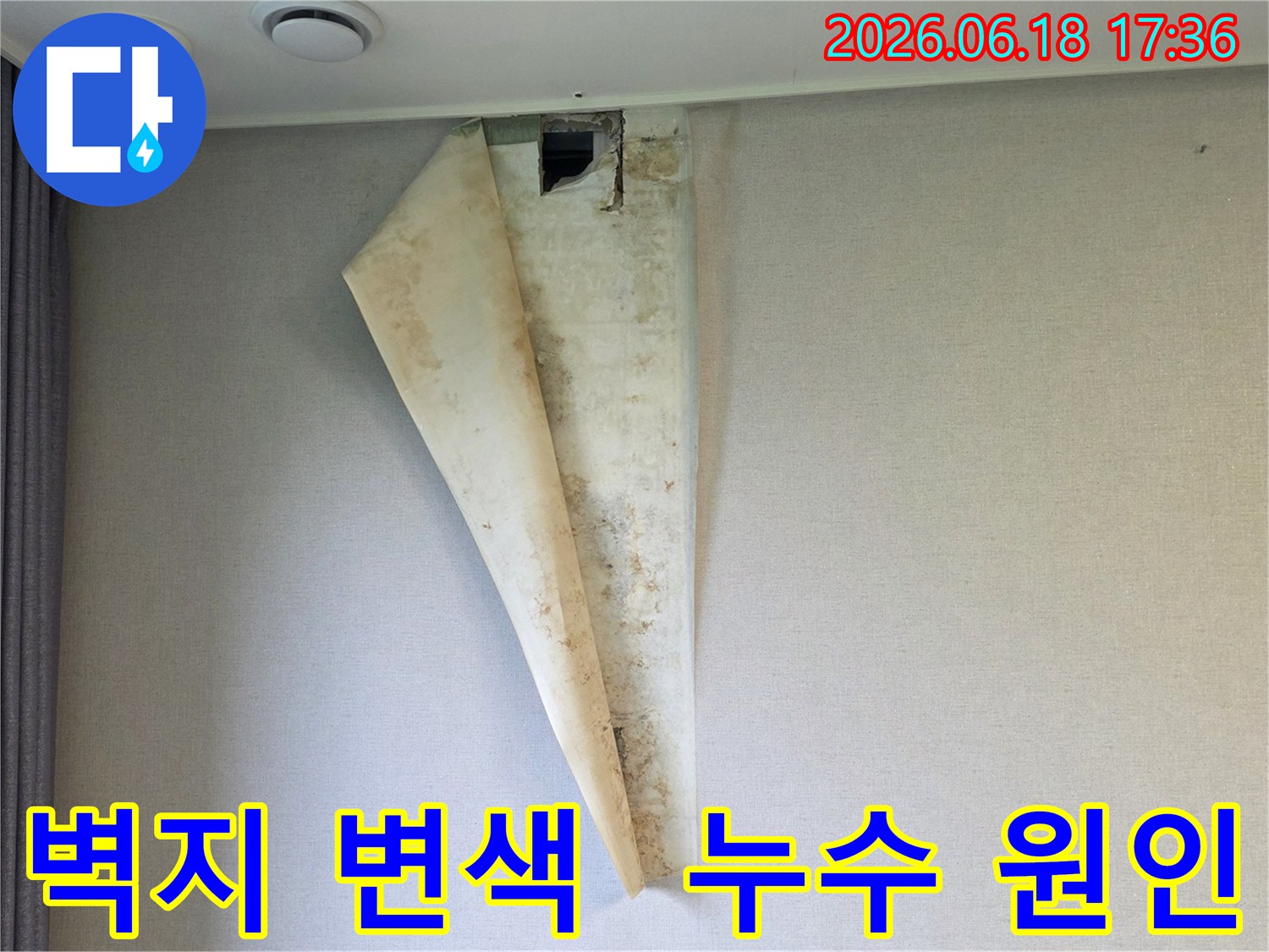 벽지가 물에 젖어 변색되고-들뜨면서-곰팡이가 발생한 심각한 누수 현장