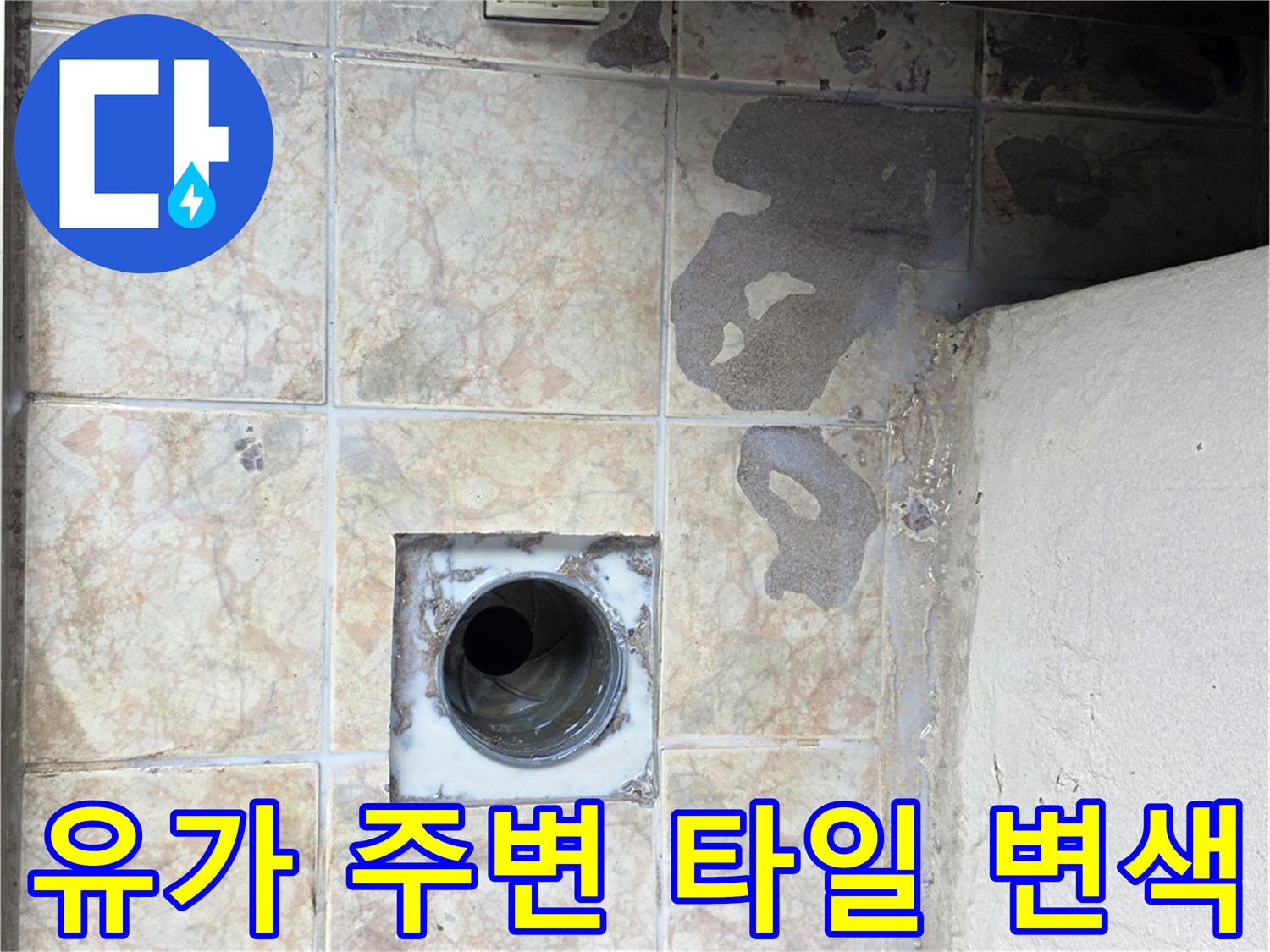 배수구-유가-틈새로-스며든-물기로-된-타일-얼룩