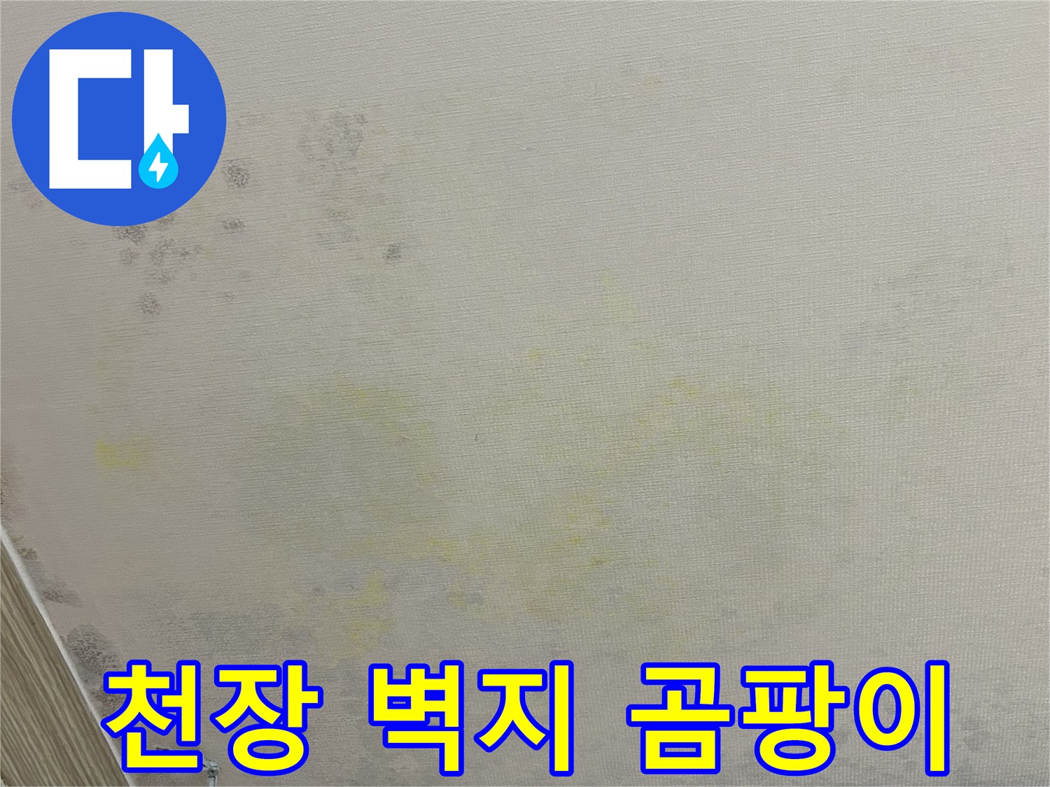 누수로 인해 발생한 천장 벽지의 얼룩과 곰팡이 흔적