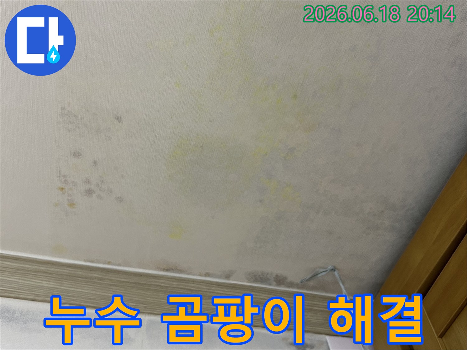 누수로 인해 벽지가 젖고-곰팡이가 심하게 번식한-아파트 내부 벽면