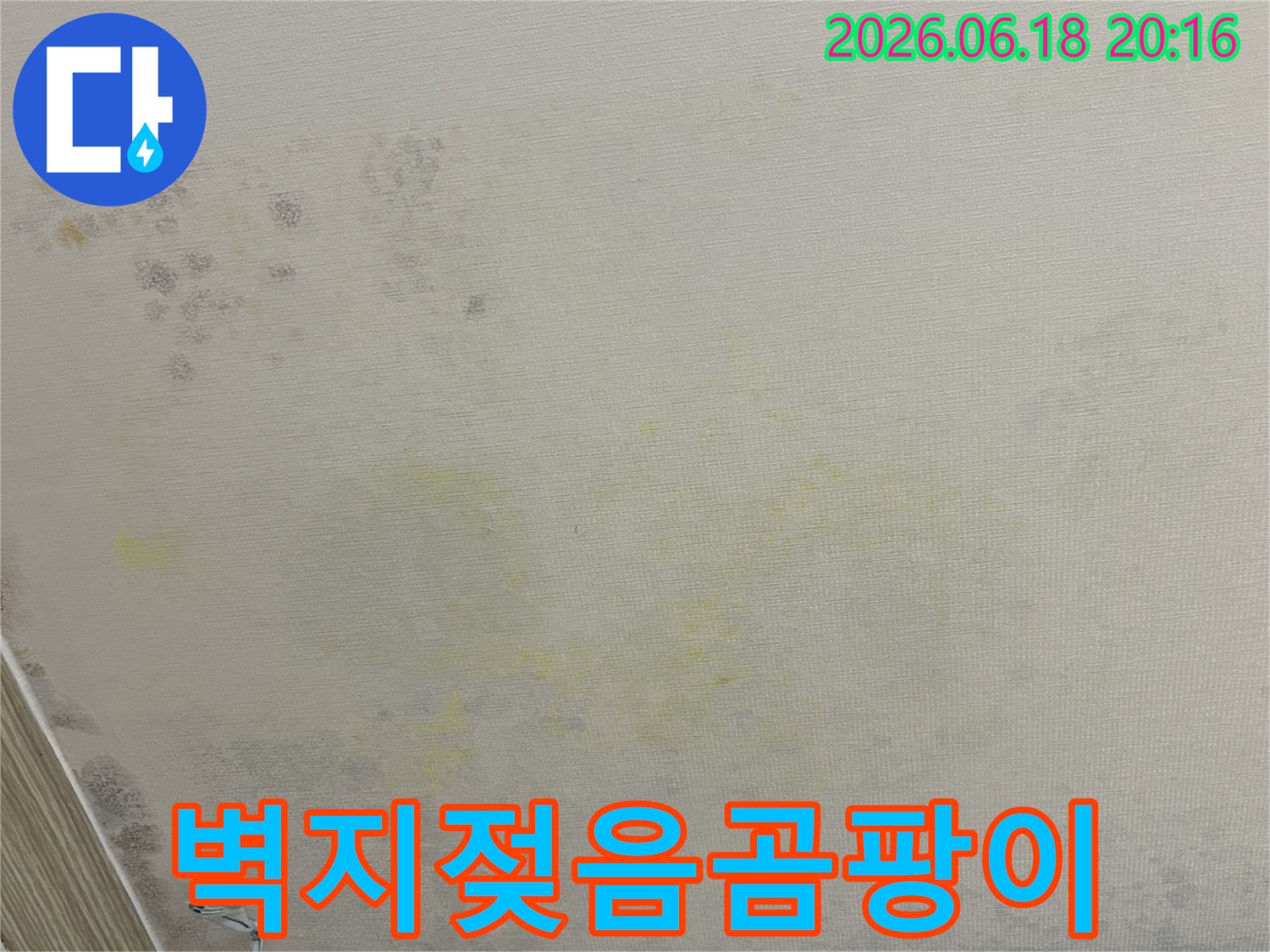누수로-인해-벽지에-생긴-얼룩과-곰팡이-번짐을-보여주는-사진