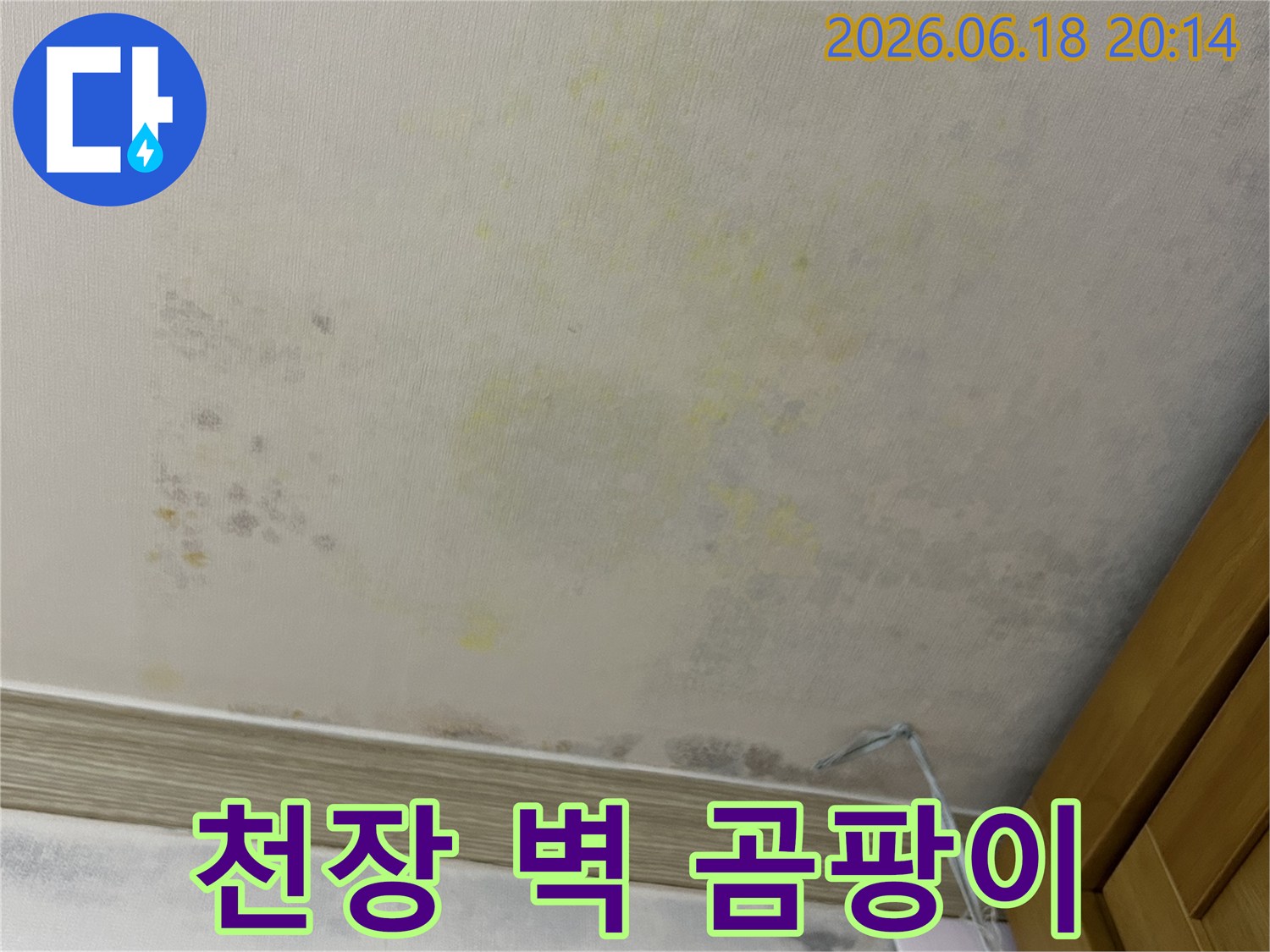 아파트 내부 벽에-물기로 인한-곰팡이가 번진 모습