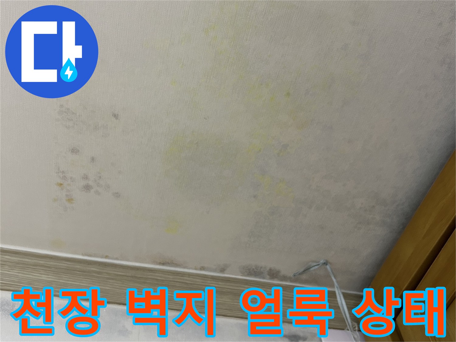아파트 천장 내부-벽지 젖음 및 변색 부위 확인