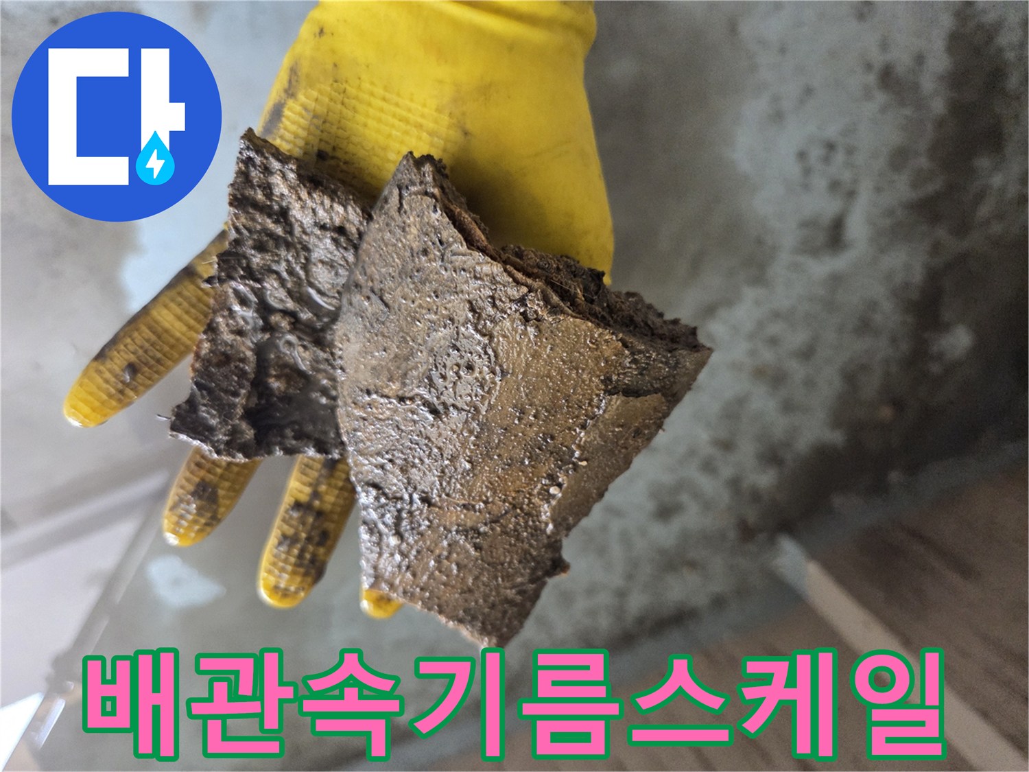 배관세척후추출된-커다란유지방-덩어리상태
