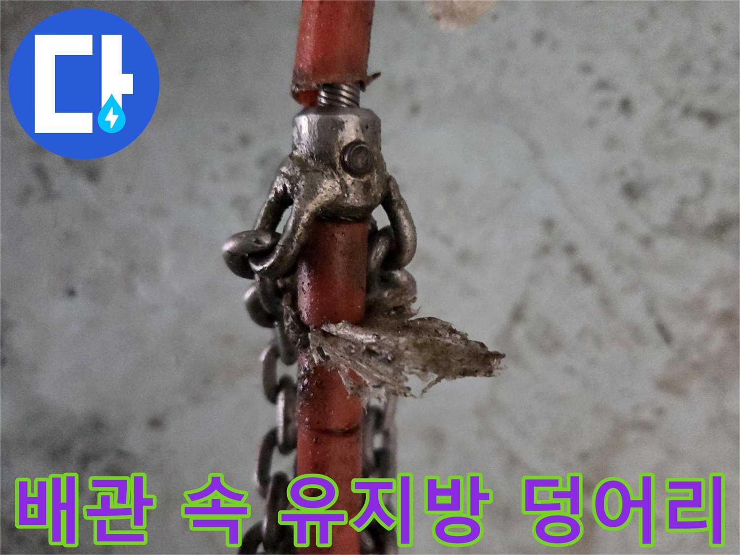 붉은색 고압 호스에 걸려 나온 거대한 유지방 슬러지 덩어리