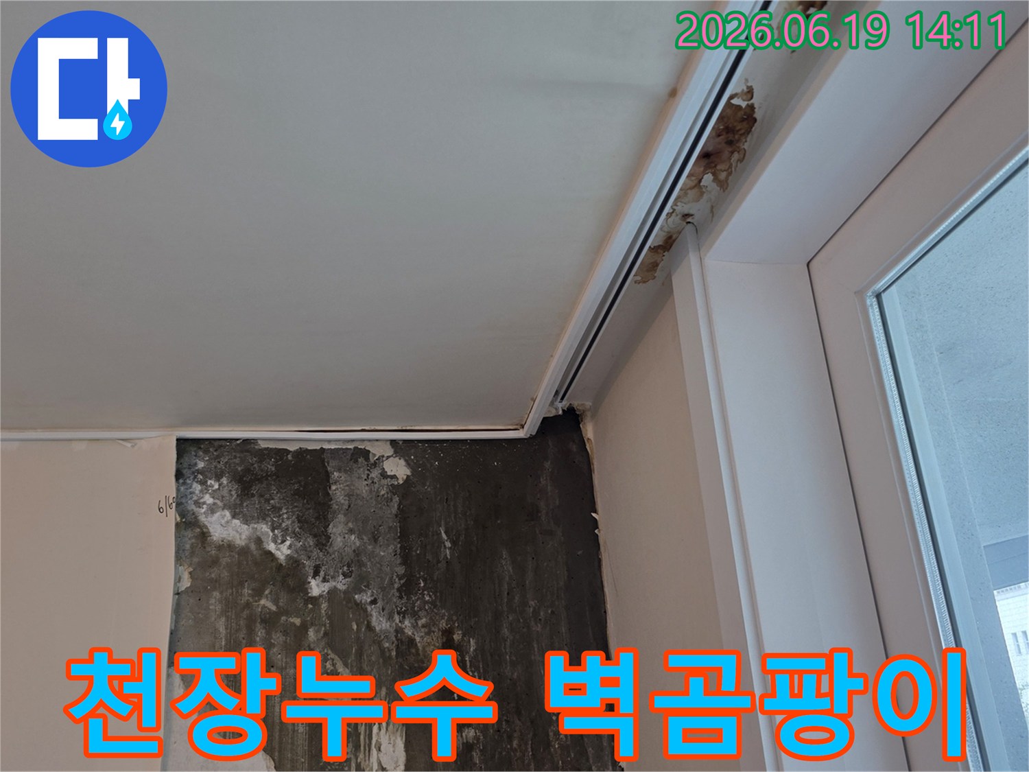인천-계양구-계산동-아파트에서-발생한-천장-누수로-인해-벽면에-심각하게-번진-곰팡이-피해-현장-사진