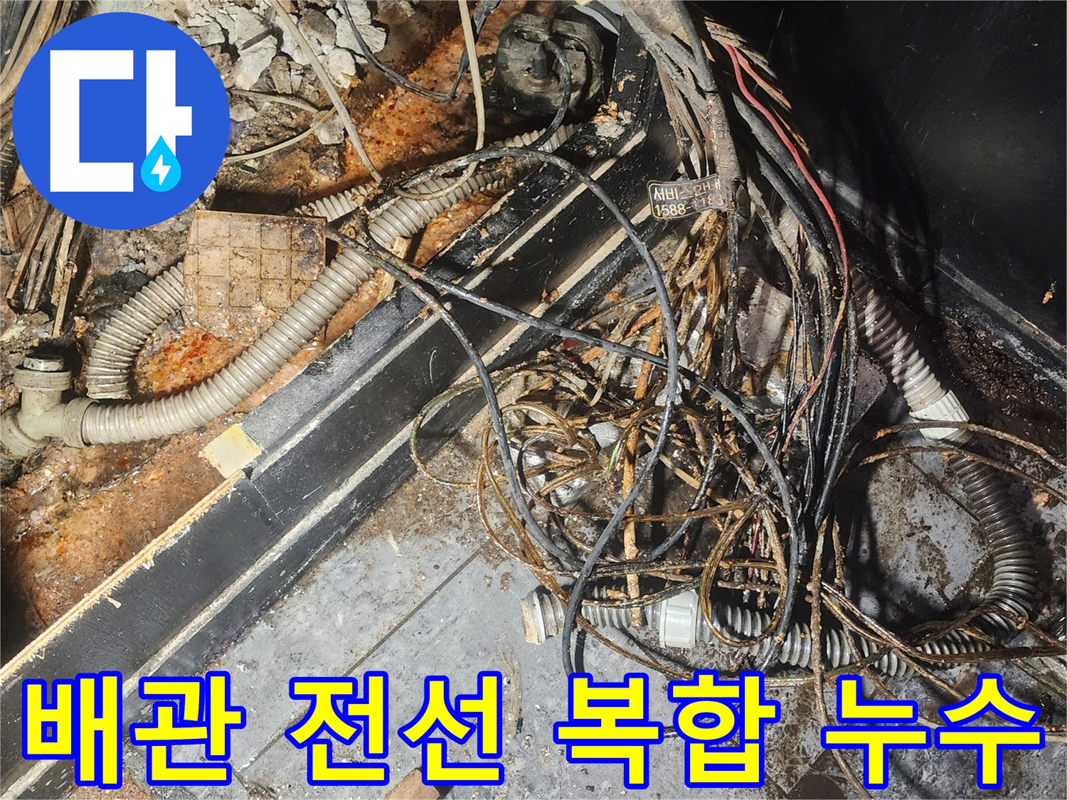 누수-엔지니어가-배관과-전선이-복잡하게-얽힌-누수-현장에서-물에-젖고-부식된-부분을-정밀하게-조사하고-있습니다