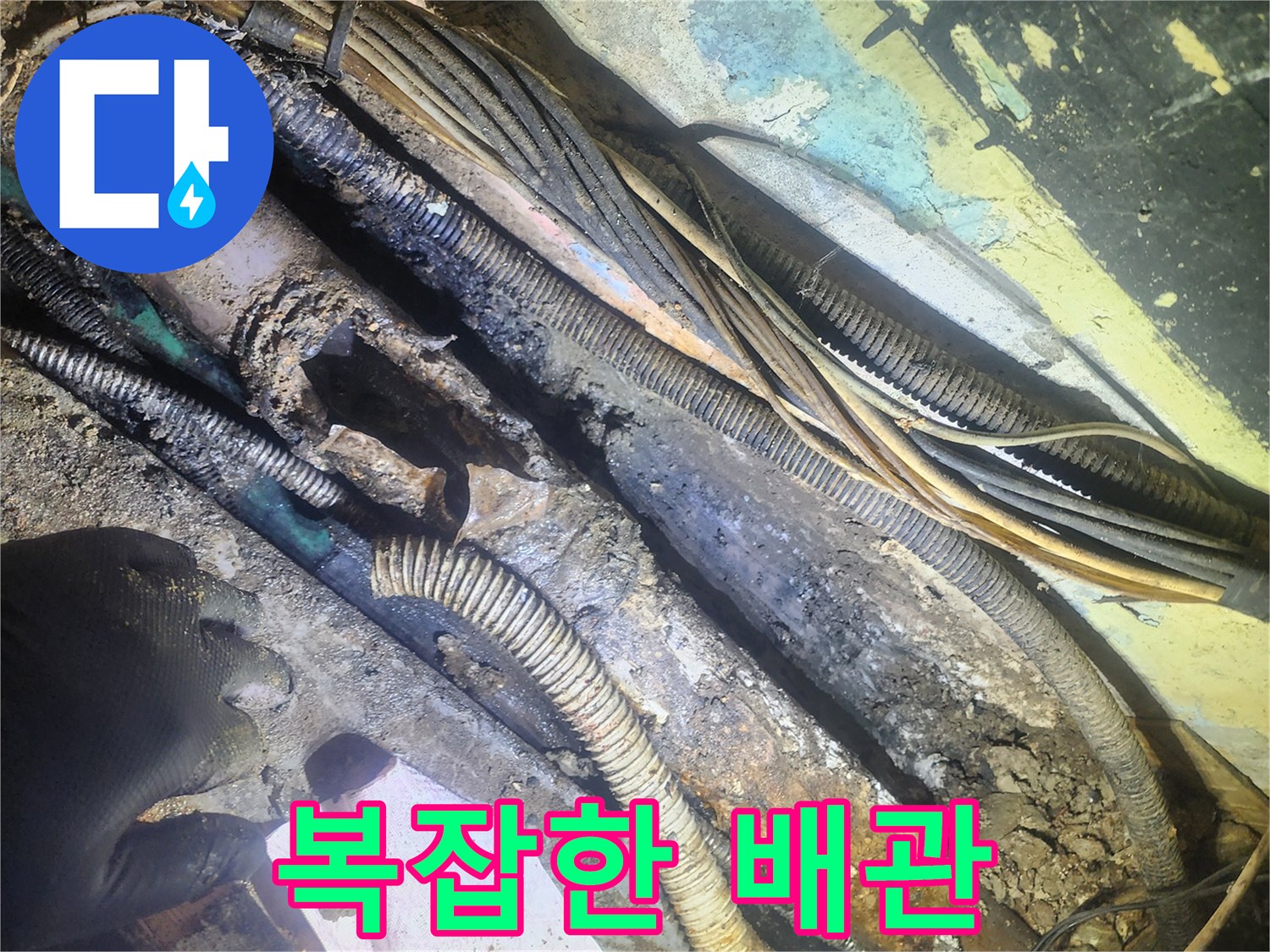 복잡하게-얽힌-지하-배관과-전선들-사이에서-발견된-누수-원인