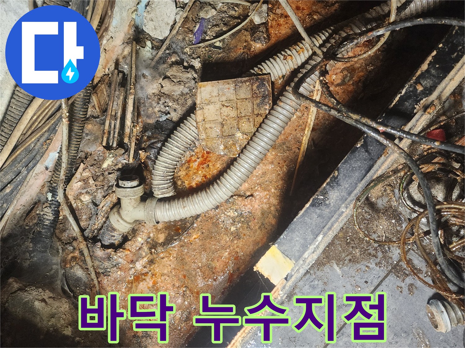 정밀-진단-후-누수-지점을-파악하여-굴착한-배관-모습