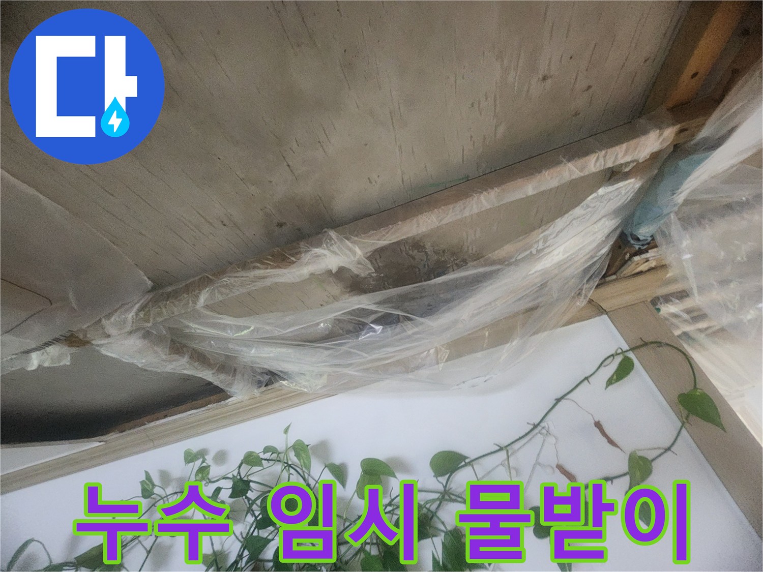 천장 누수 발생 시-추가적인 물 피해를 막기 위해 설치한 비닐 물받이의 모습