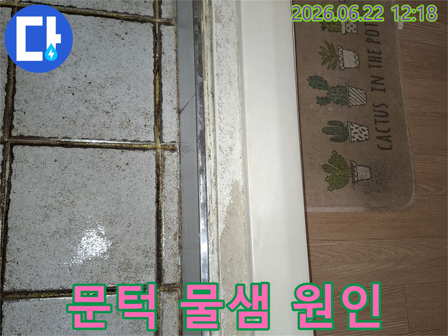 욕실 문턱 아래에 물기가 스며들어 마루가 젖은 모습-누수 발생 가능성을 시사하는 중요한 현장 증거입니다