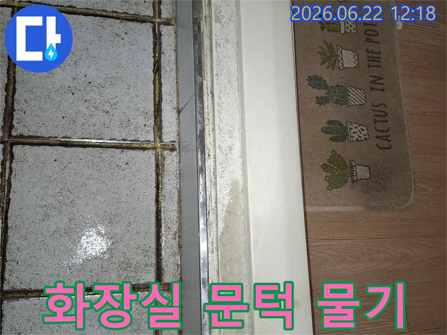 화장실 문턱 주변에 물기가 스며들어 마루가 젖은 모습을 담은 이미지-누수 원인 파악을 위한 현장 사진-전문가의 도움이 필요한 상황