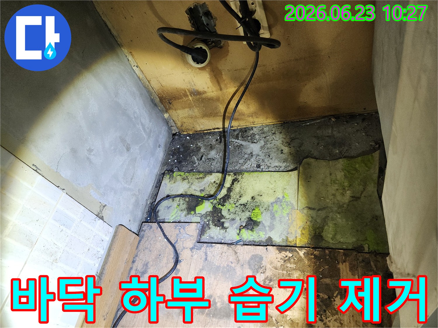 누수 발생으로-인해-바닥재를-제거한-후-습기가-가득한-하부-구조를-보여주며-습기-제거의-필요성을-강조하는-사진