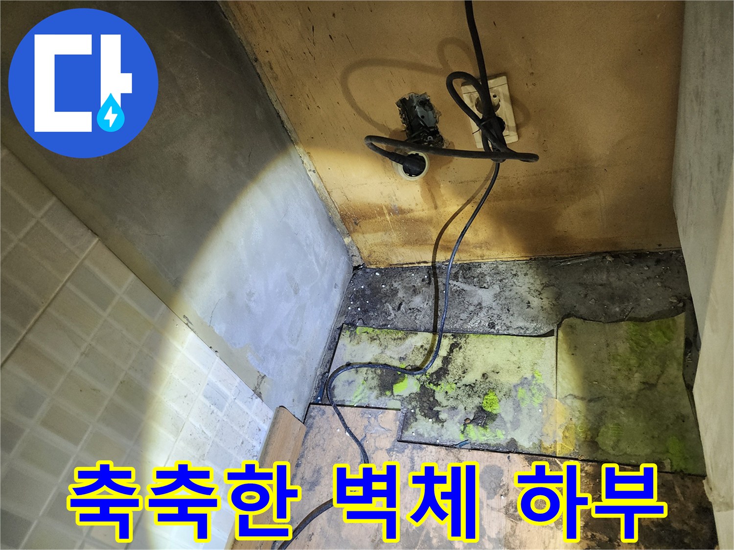 누수 피해-습기로 인해 변색된 콘크리트와 곰팡이 부위
