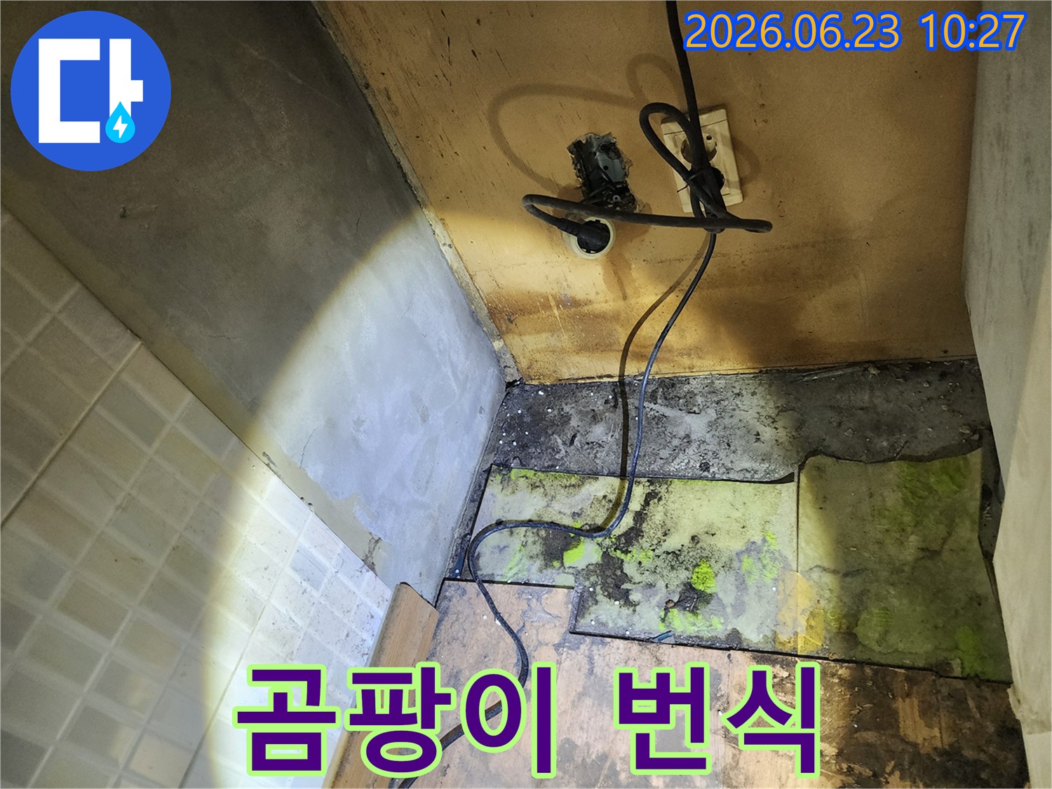 누수-현장에서-확인된-바닥재의-부패와-벽면의-곰팡이-그리고-전기-콘센트의-위험한-상황입니다.
