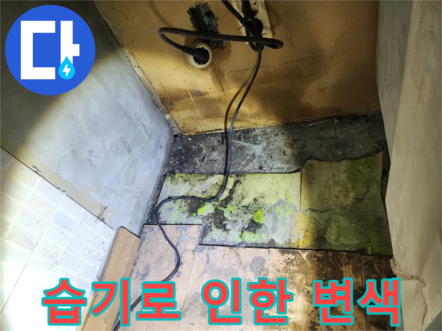 물샘 현장-벽면 하단에 광범위하게 퍼진 곰팡이 오염