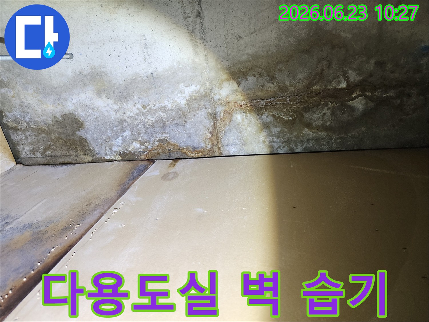 빌라 다용도실-벽면에-발생한-누수로-인한-습기와-오염-현상을-보여주는-사진입니다