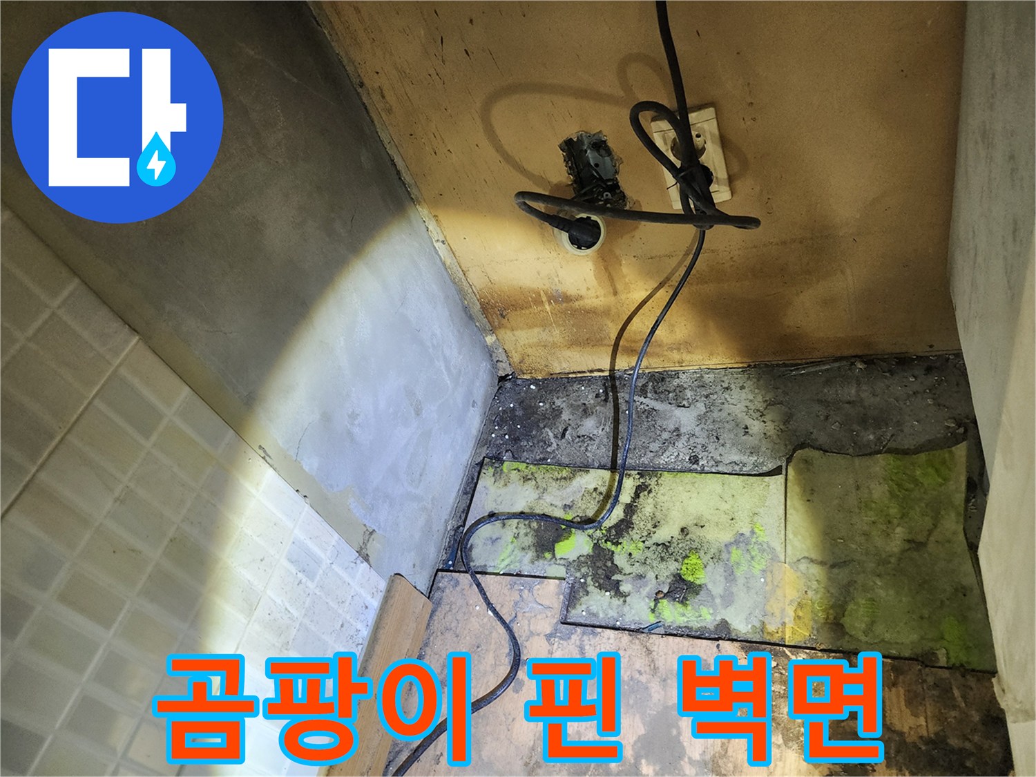 심하게 변색되고 곰팡이가 발생한 실내 벽체와 바닥