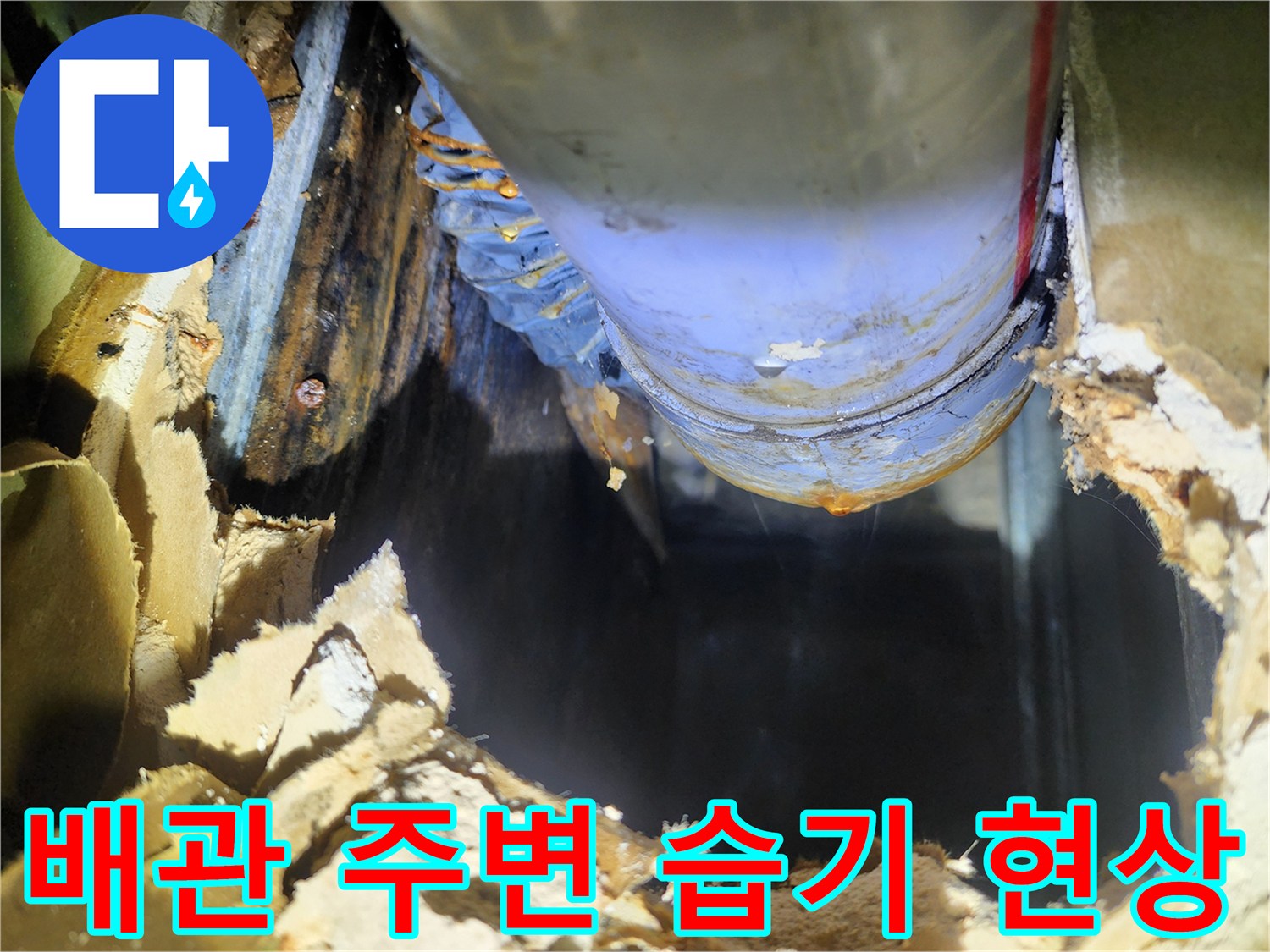 천장 배관 주변의 물기 및 곰맨 발생 상태 - 송파구 누수 점검 사례