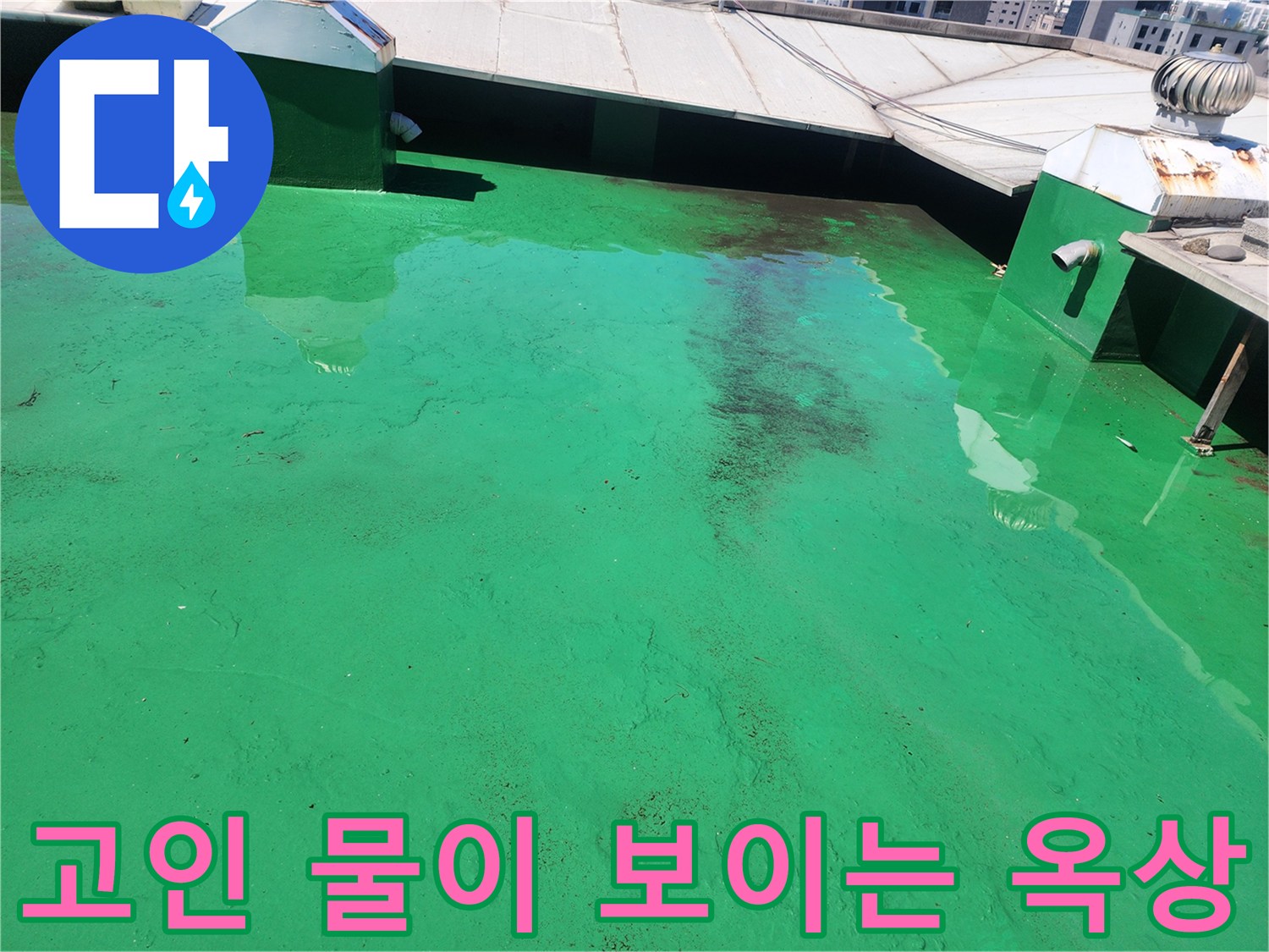 초록색 방수층 위에-물이 고여있는-현장 점검 모습