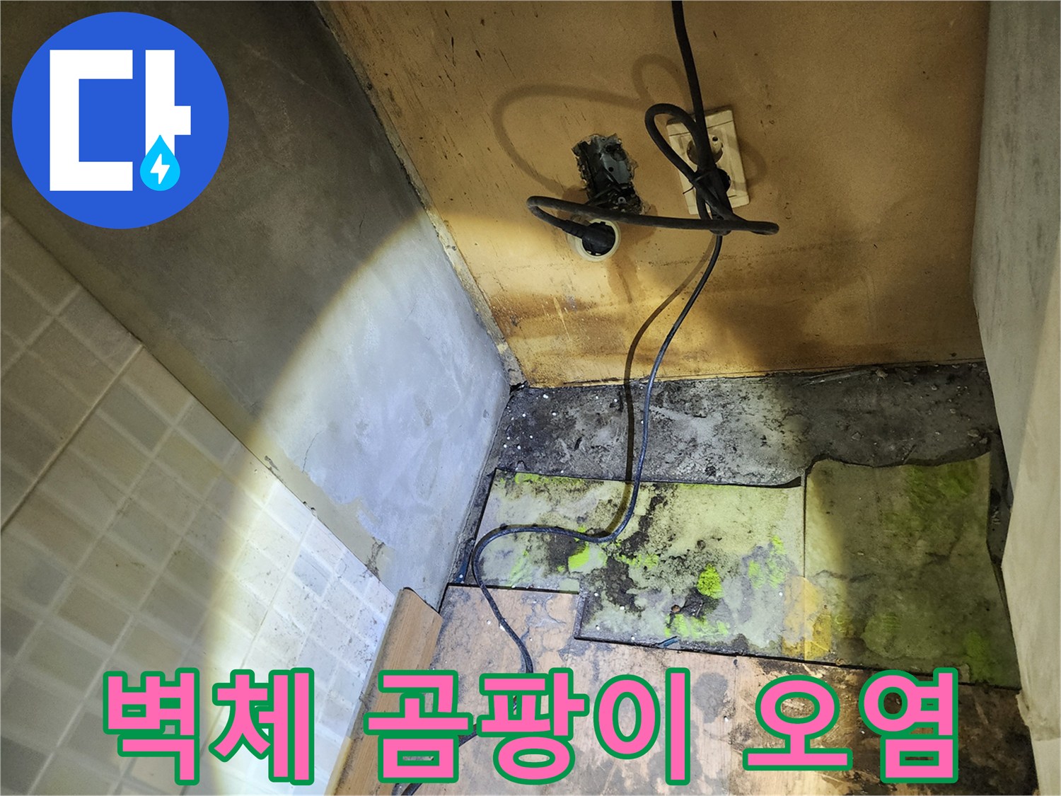 콘센트 하단부의 심한 곰팡이와 변색된 벽면 상태