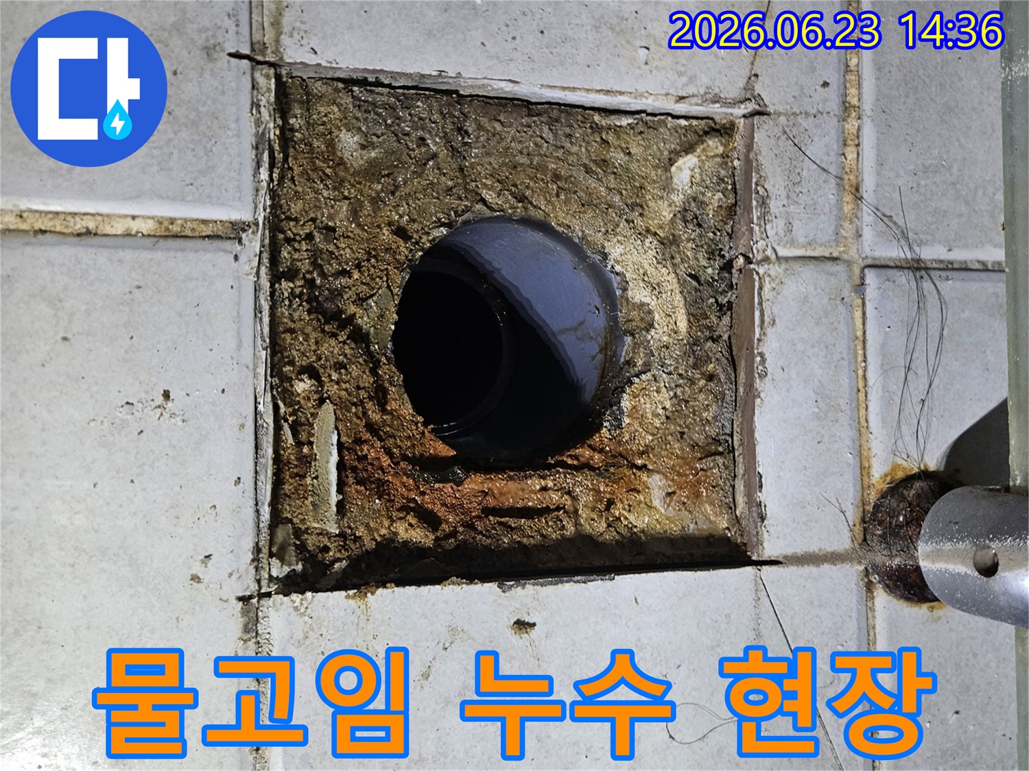 배관 주변의 바닥에 물이 고여 있고-타일이 손상된 누수 현장