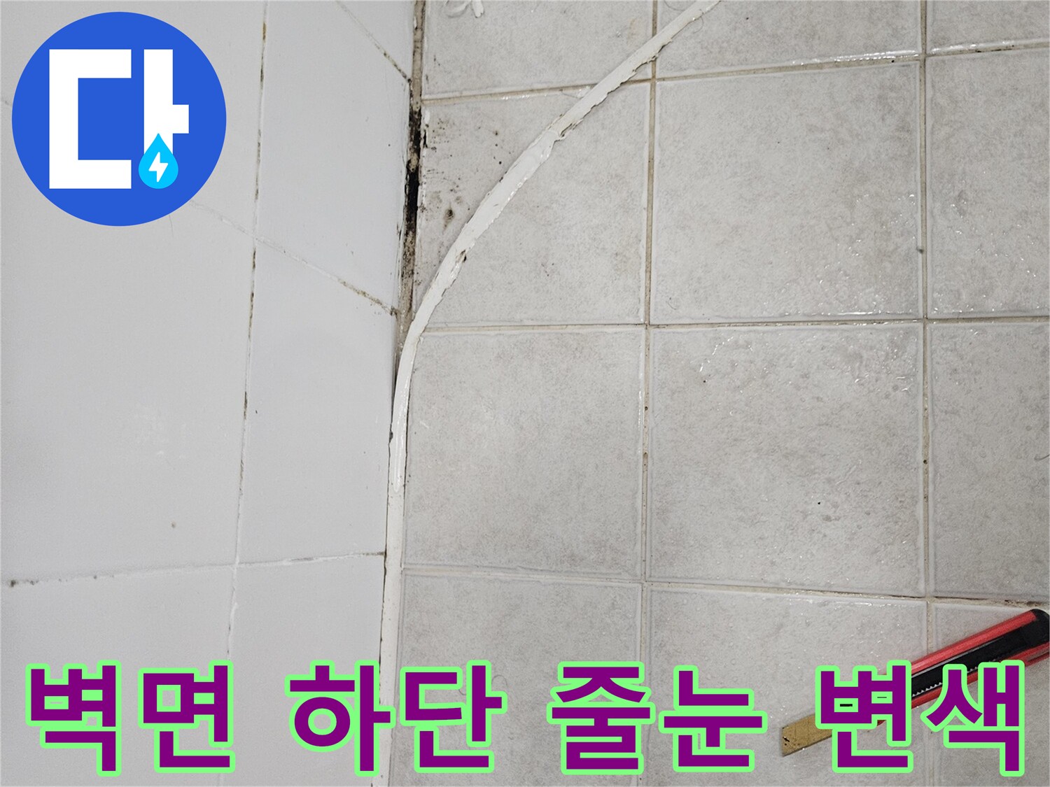 타일 사이 경계에 나타난 검은색 물때 및 곰팡이