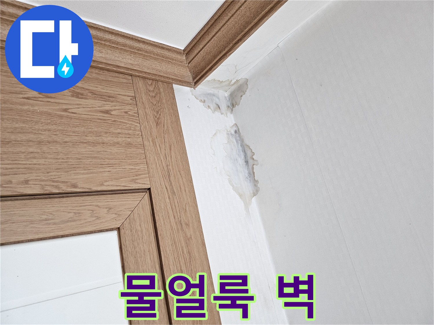 누수로 인해-벽지가 젖고-곰팡이가 피어난-집안의-손상된-벽면 모습.