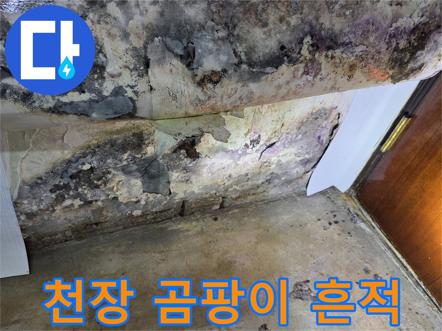 누수로 인해 검게 변한 천장 마감재 부위