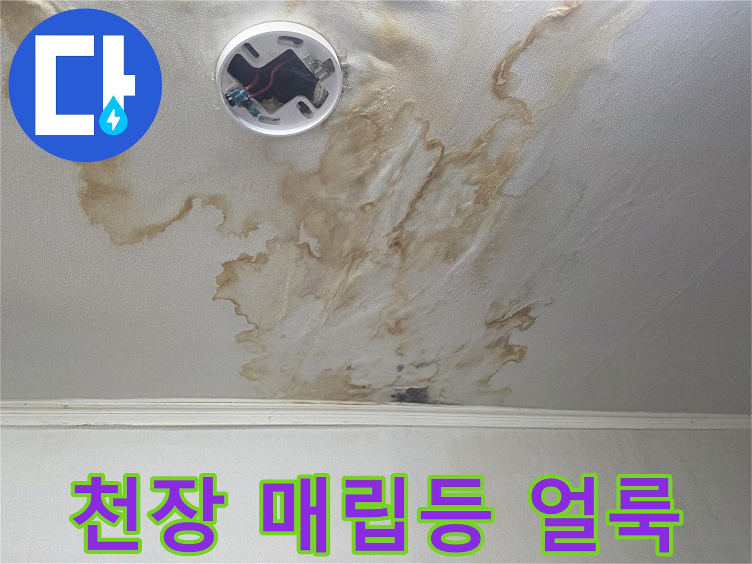 매립형-조명-주변의-심한-수분-흡수-및-얼룩
