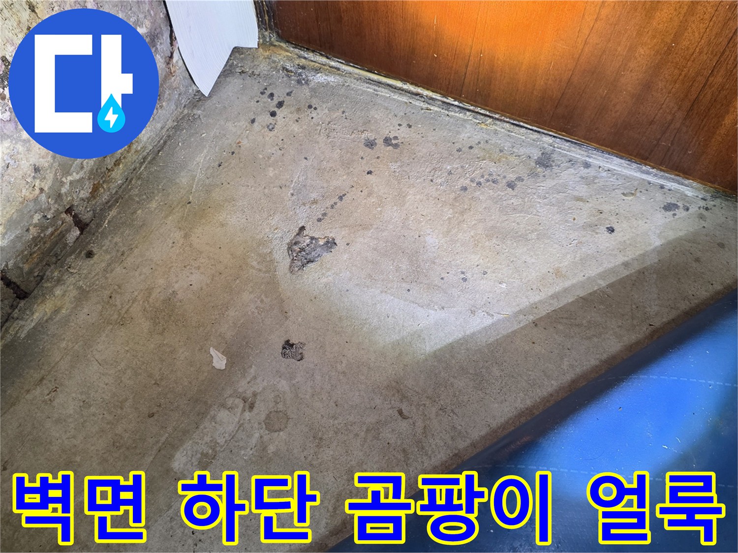 습기가 침투하여 변색된-가양동 세탁실 벽체 하단부