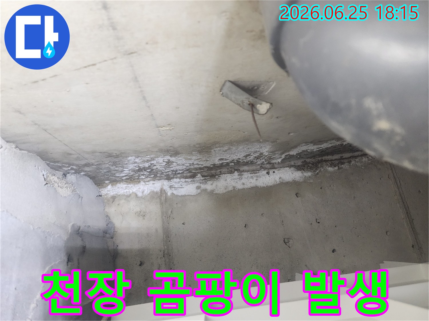 도봉구 한양아파트에서-천장 누수로 인해-발생한 곰팡이와-백화 현장입니다