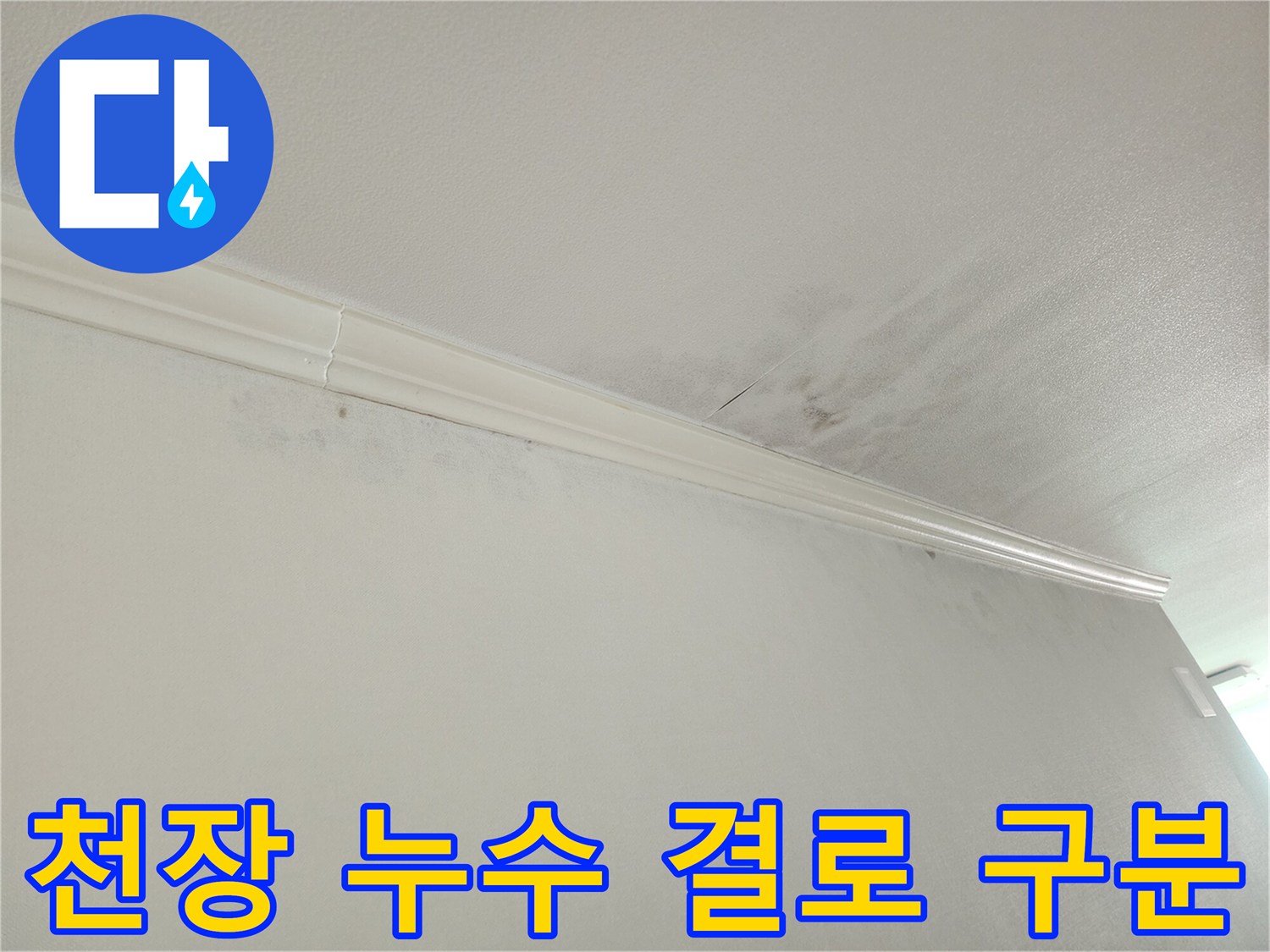 아파트 천장-모서리 누수-흔적-겨울철 결로-현상-구분-정밀 진단
