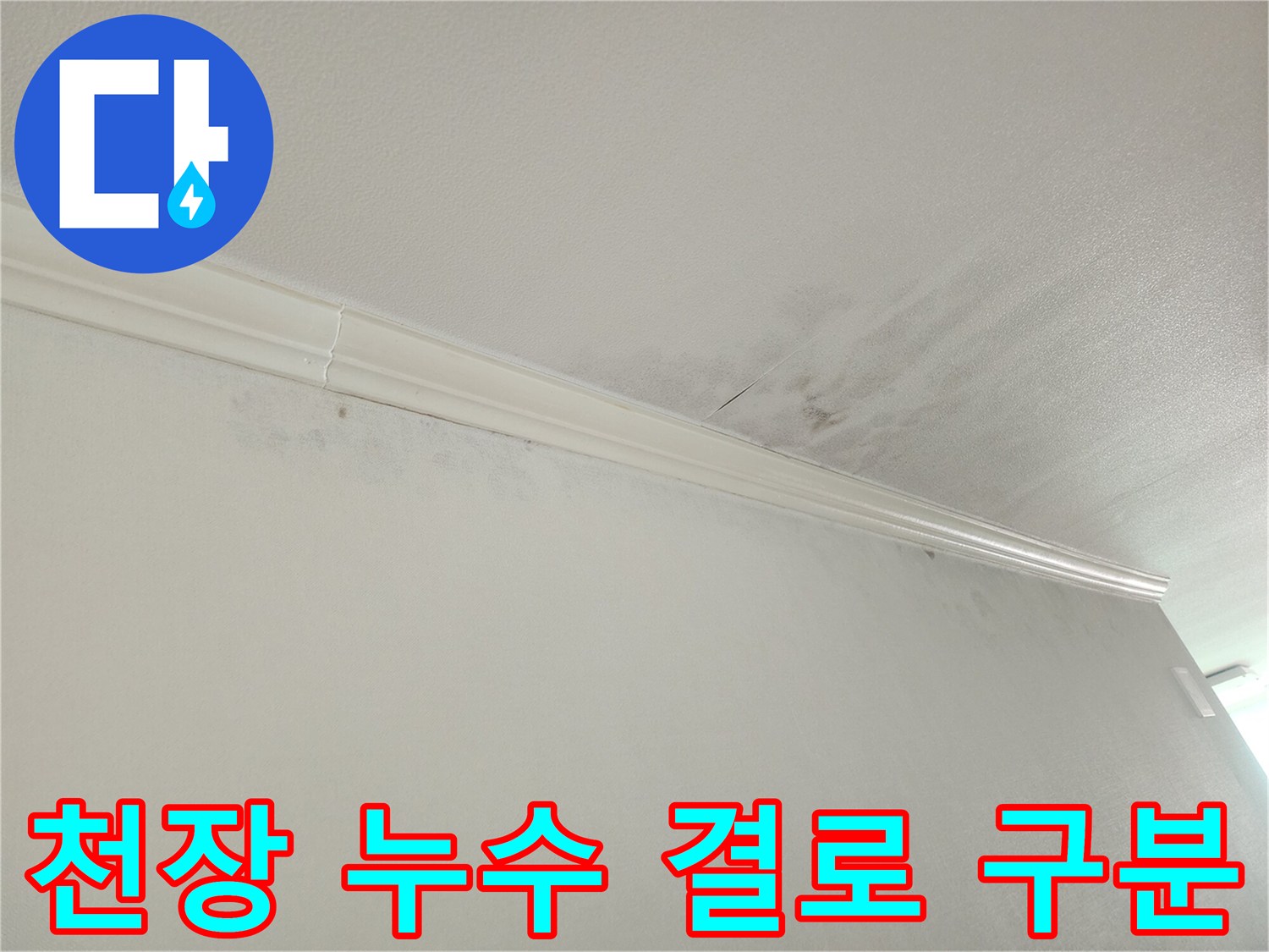 아파트 천장-모서리 누수-흔적-겨울철 결로-현상-구분-정밀 진단