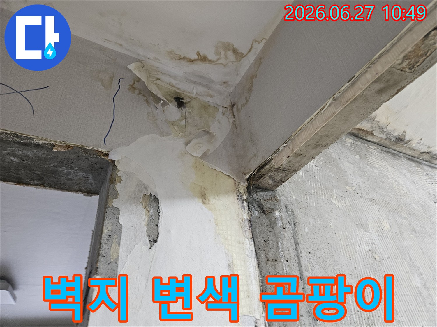 누수로-인해-벽지가-변색되고-심각한-곰팡이가-발생한-벽면-모서리-현장