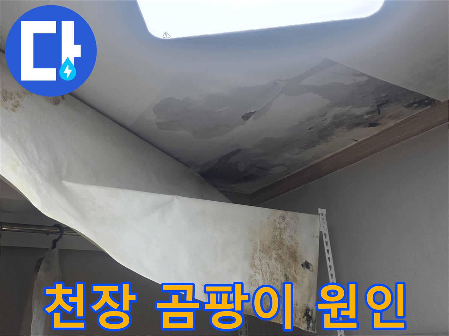 천장 벽지에 생긴-심한 곰팡이와-물에 젖어 떨어진-누수 피해 현장입니다