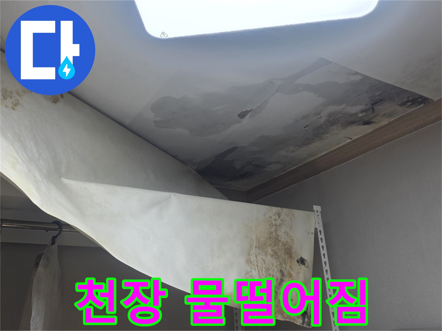 천장에서 물이 떨어져-벽지가 젖고-곰팡이가 발생한-심각한 누수 현장입니다