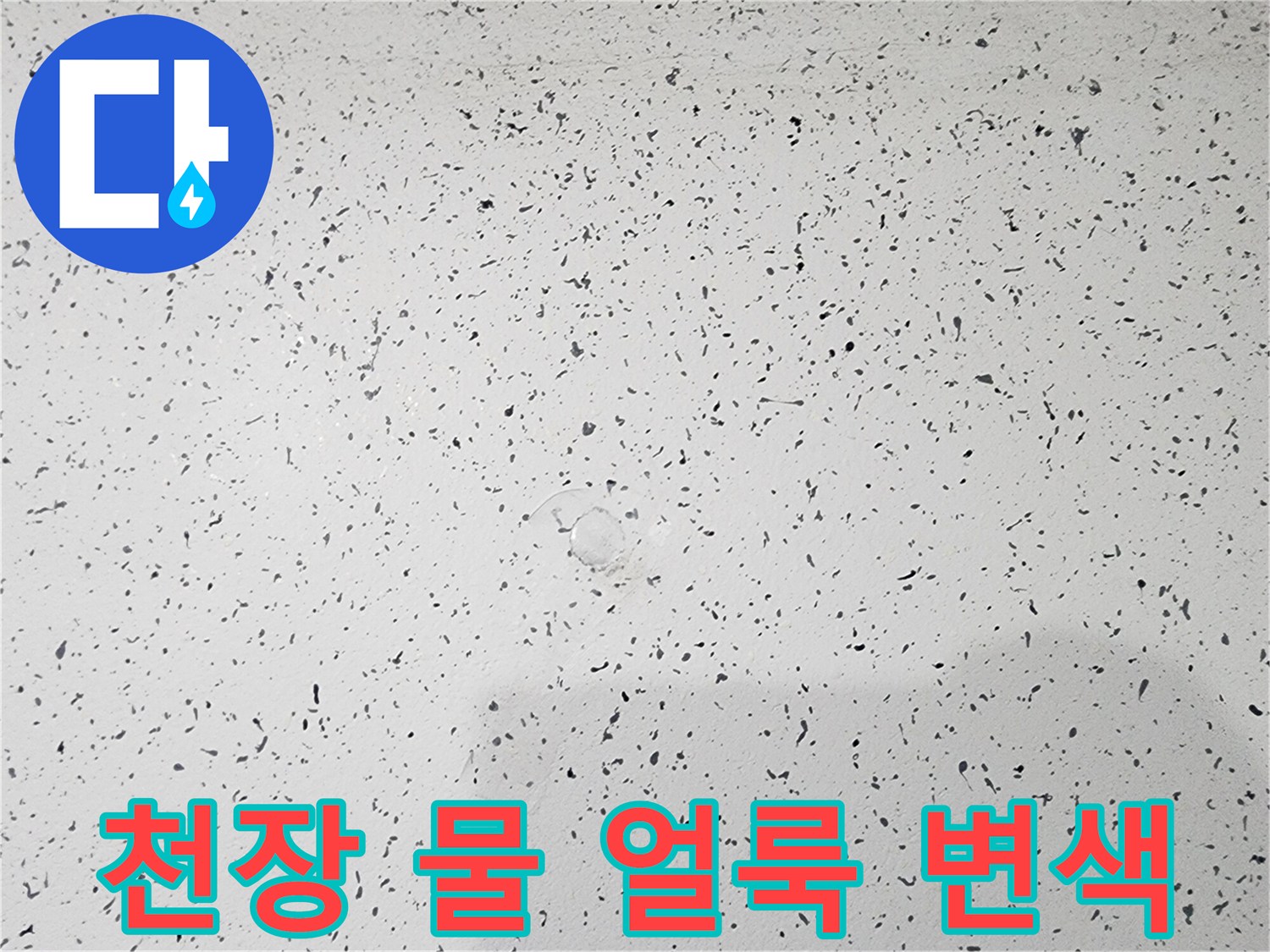 강서구 복도 천장에 발생한 광범위한 물 얼룩과 변색 상태