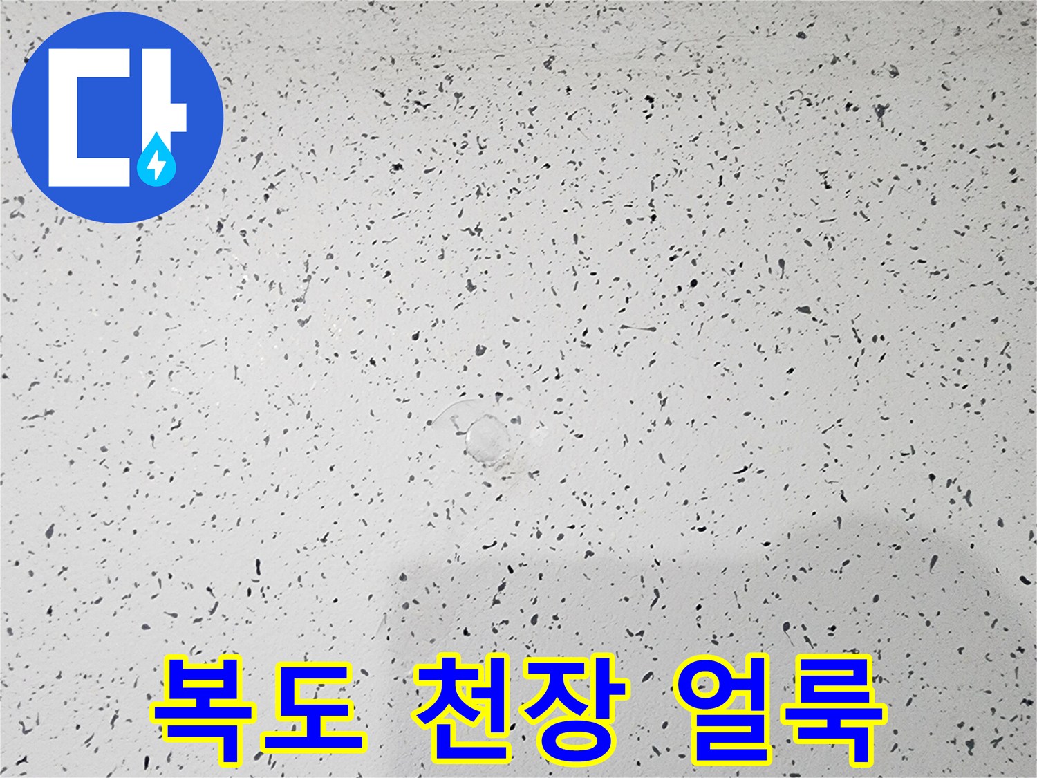 천장 마감재에 나타난 누수 및 변색 흔적 사진