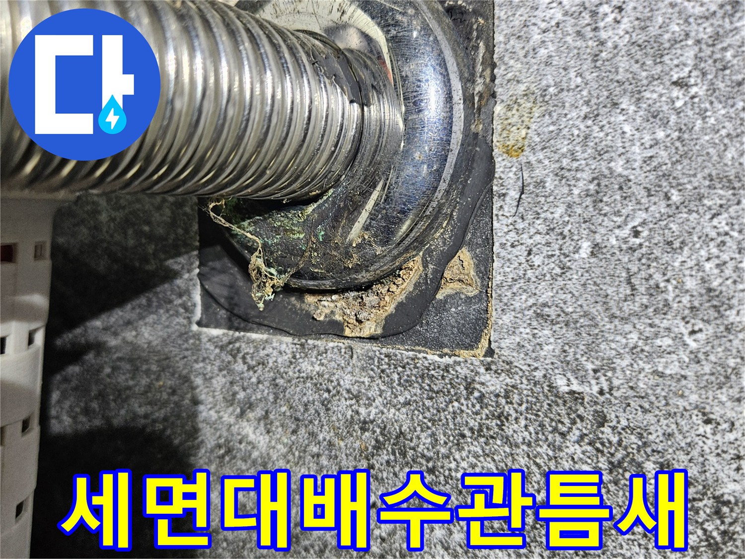 세면대-배수관-벽면-틈새-누수-지점-확인