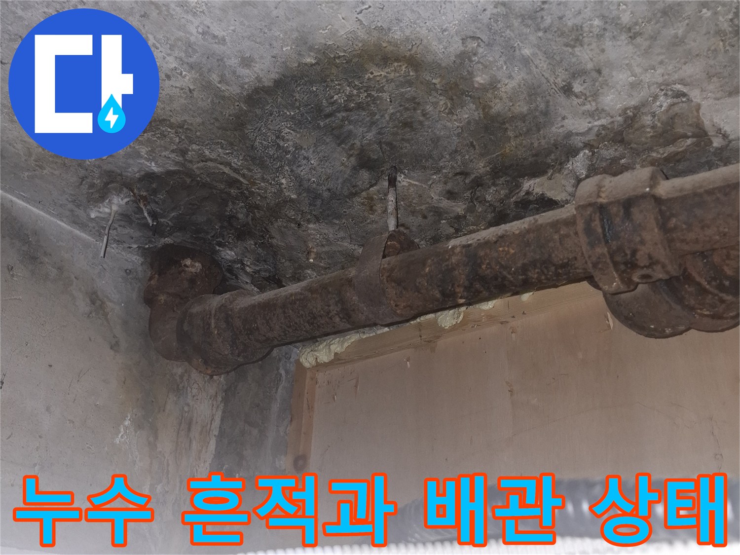 배관 주변의-심한 물자국과 곰팡이 오염