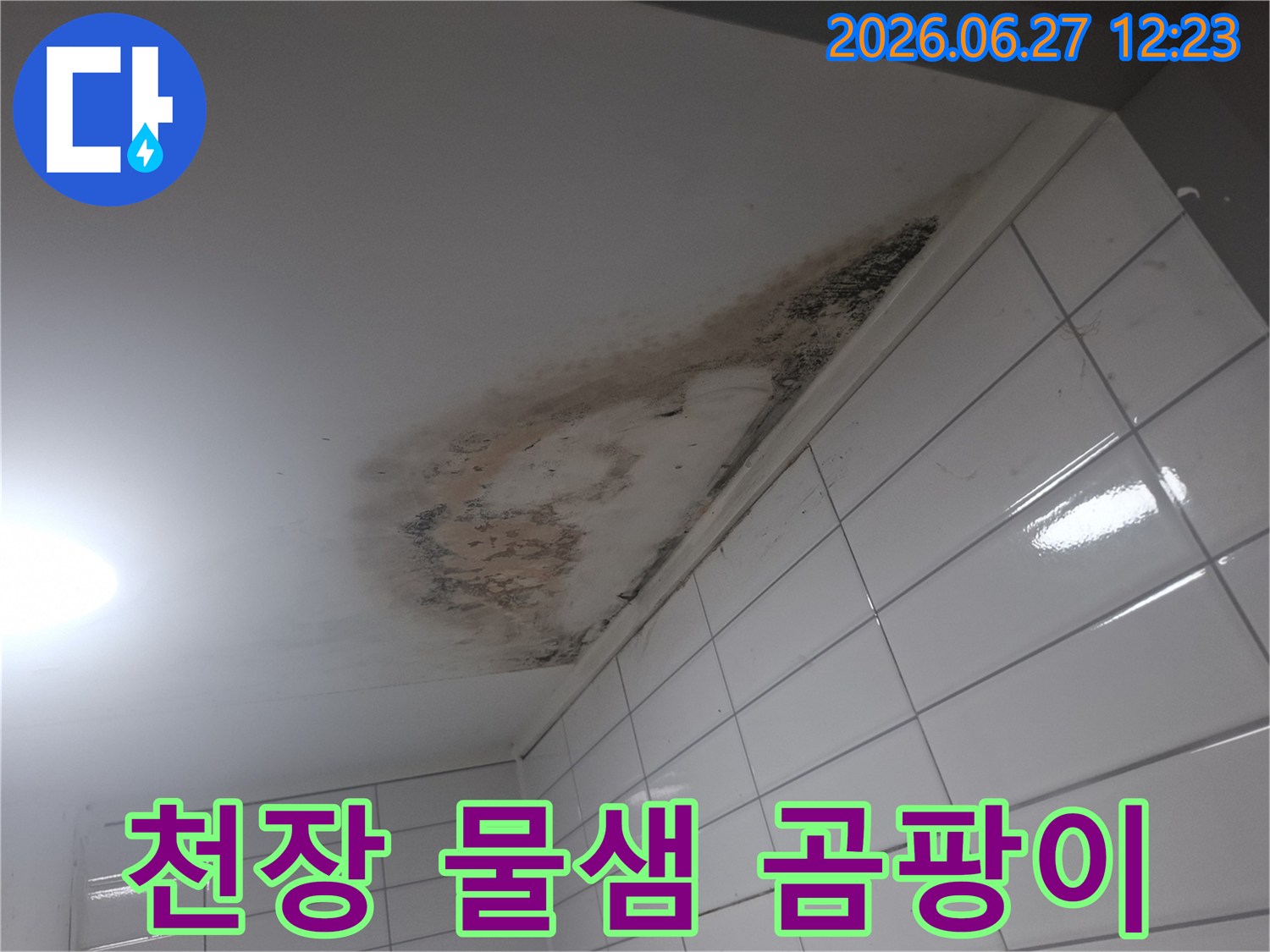 천장-누수로-인해-벽면-타일까지-영향을-받은-심각한-곰팡이-발생-현장