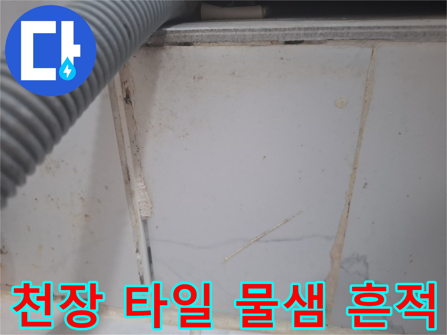 화장실 천장 타일과 배관 사이의 습기 및 오염된 상태
