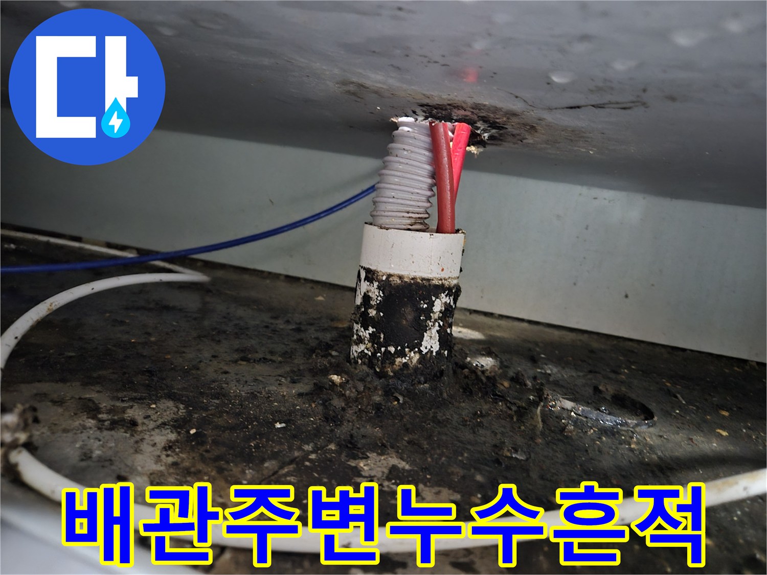 배관-연결부위의-검은색-곰팡이와-습기-오염-상태